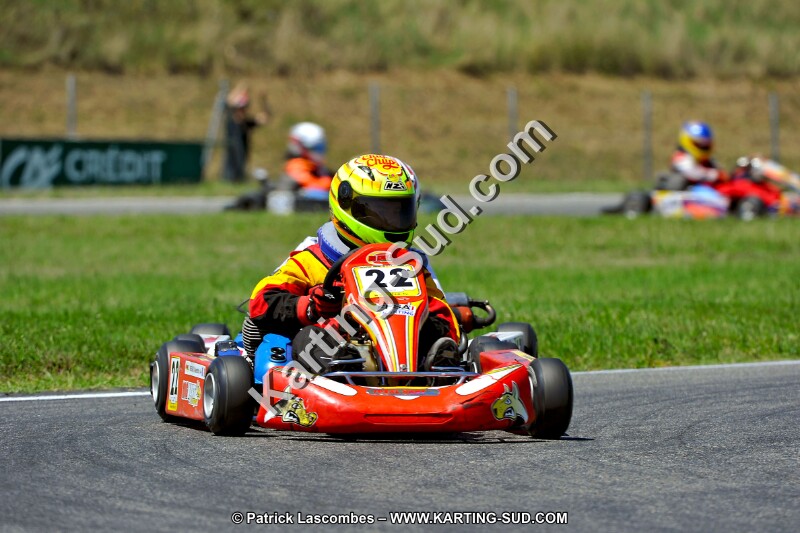DSC_ (1460).jpg